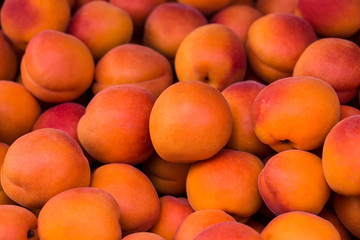 Background of ripe juicy orange apricots. A bunch of delicious fruits. Natural raw materials for fruit desserts.	