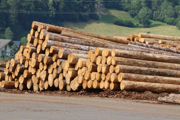 Holzlagerplatz an einem S&auml;gewerk