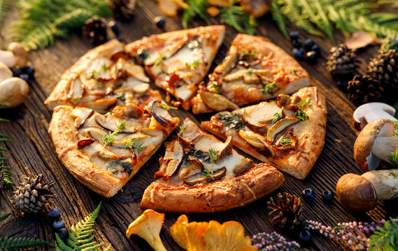 Mushroom pizza, pizza with addition of  edible wild mushrooms (porcini  mushrooms, chanterelle) and mozzarella cheese and herbs on a wooden rustic table in a forest arrangement.