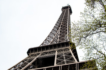 Torre Eiffel desde abajo