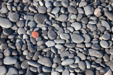 red stone against the gray stones. Individuality against mediocrity