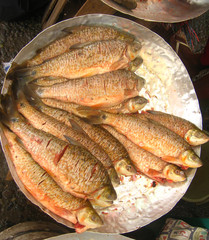 Masajeados