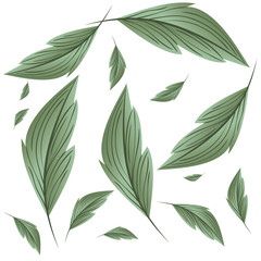 pattern of branch and leaf icon