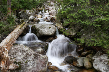 Naklejka na ściany i meble The water of a mountain river with rocks in the High Tatras, Slovakia. Mountain river, rocks and wild flowers scenery.