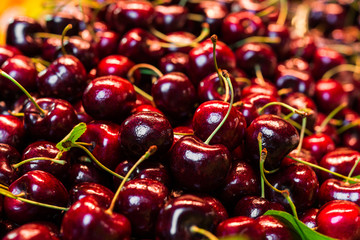 Close up food photo of organic black cherries fruit at the farmers market stall