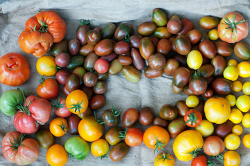 delicious and red tomatoes natural
