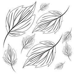 pattern of branch and leaf icon