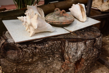 Rustic Pan Sea Shells
