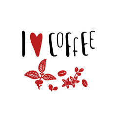 Vector set of coffee tree branches with flower, leaves and beans.