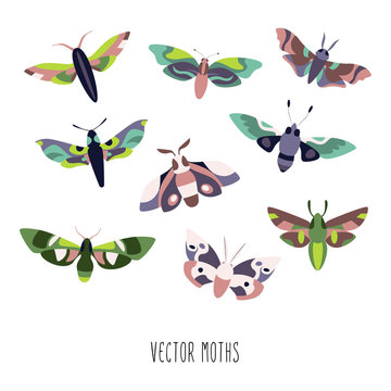 Moth Collection Vector Set