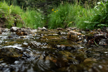 Obraz na płótnie Canvas stream in forest