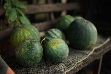 heap of ripe watermelons on the bench