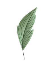 branch with leaf isolated icon