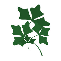 Fototapeta premium green leaves foliage nature icon