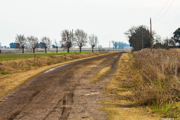 road in the countryside