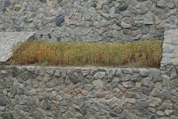 gray stone wall of a fence with green ornamental plants and grass