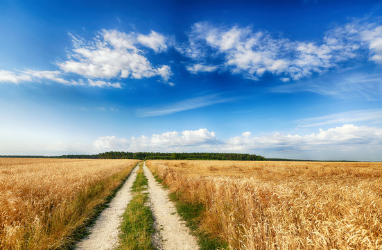 Beautiful cloudy sky over summer fields