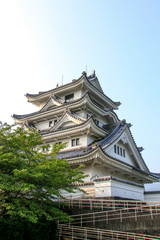 Fototapeta premium 川島城