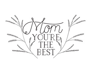 mom you are the best label icon