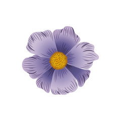 beautiful flowers isolated icon