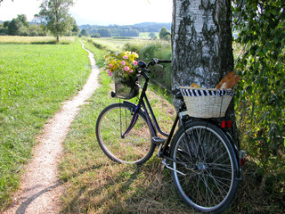 Fototapeta na wymiar Bicycle, Bread, and Flowers Baskets