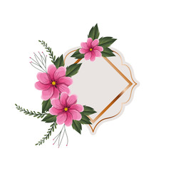 frame with flower and leafs isolated icon