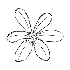 Abstract cute flower