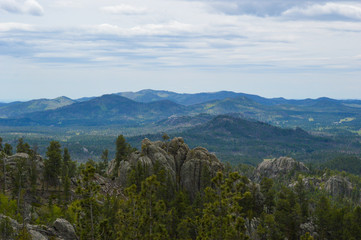 Expansive landscape view from one of Custer State Park's overlooks