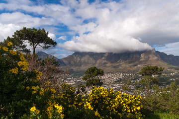 Panoramic view with Table Mountain, Cape Town