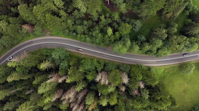 4K. Aerial view of a mountain serpentine road with buses and cars traveling along a zigzag road in the mountains of Poland. Curvy switchback highway with hairpin turns snaking through the woods.