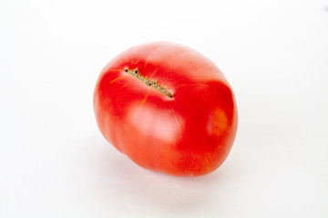 red tomato just from the garden on a white background