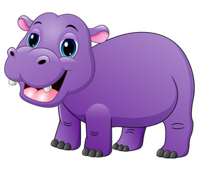 Smiling baby hippo isolated on white background