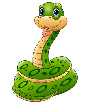 Cute green snake animal cartoon