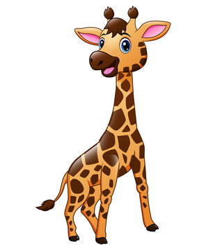 Cute baby giraffe animal cartoon