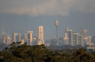 Fototapeta premium Sydney sunset