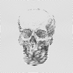 Skull full face from digital spiral lines on white background.