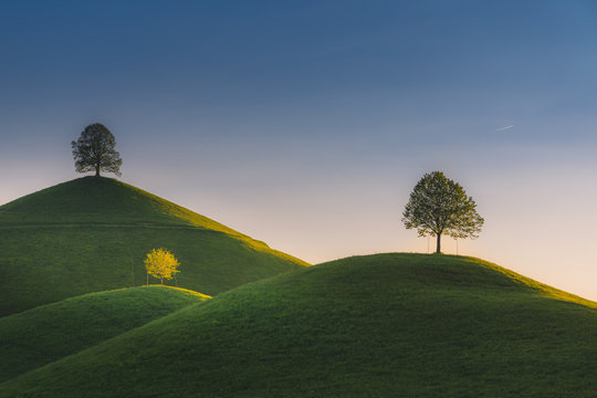 Trees in rolling landscape,Hirzel Switzerland