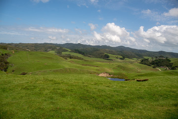 Peaceful coastal pastoral agricultural scenery at Cape Farewell in Nelson New Zealand