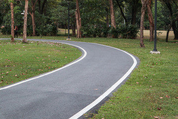 Park patch way green grass