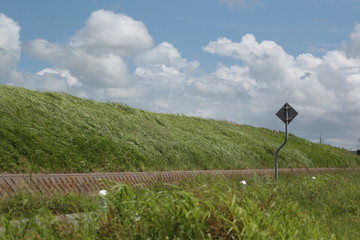 landscape with green field and blue sky