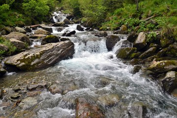 A mountain stream