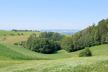 Fototapeta na wymiar Landscape shot near Gramastetten in Upper Austria