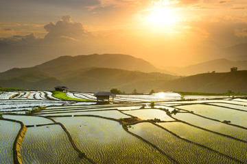 terraced fields on the mountain