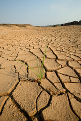 dry cracks in the land, serious water shortages 