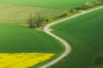 Spring in the field s waves of South Moravia, Czech Republuc