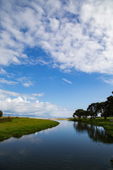 Fototapeta na wymiar Stunning Kuaotunu estuary in Coromandel on picture perfect summers day. Blue sky, clouds, reflections on water. Native trees pohutukawa and flax. NZ golden sand, blue sea. One of best places on earth.