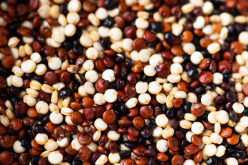 Set of quinoa Red, white and brown quinoa.
