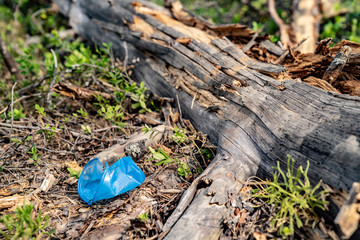 Blue plastic cup in the forest. A cup near a fallen tree. Plastic pollution environmental problem. Nature pollution