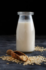 Vegan rice milk, non dairy alternative milk