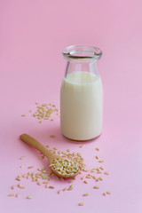 Vegan rice milk, non dairy alternative milk